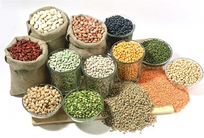 Export process foods and agriculture products